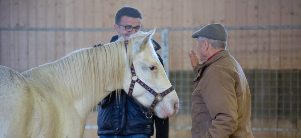 Horse Sense & Healing 2019